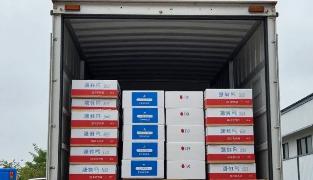 不同规模企业如何通过技术外包优化业务流程