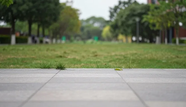 系统兼容性问题的适用场景与处理限制